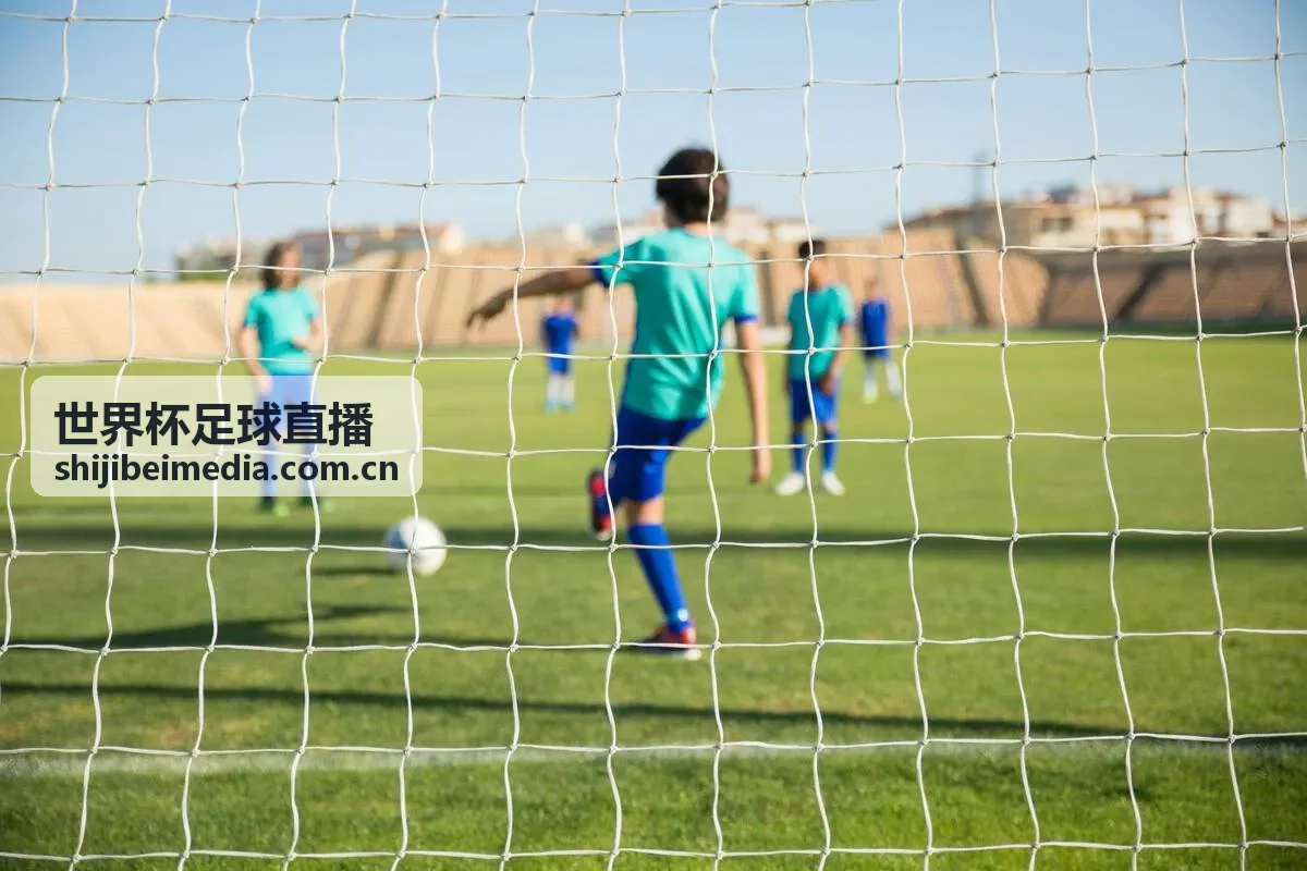 世界杯足球直播 - 赛事分析：世界杯预选赛关键战前瞻